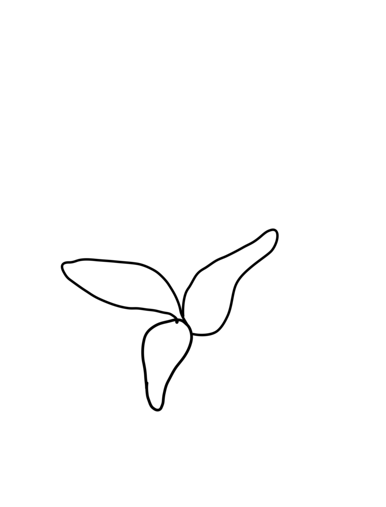 Zeichenschritt 2