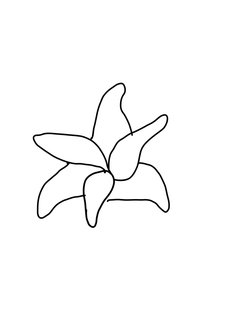 Zeichenschritt 3